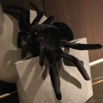 Giant Weighted Spider Plush